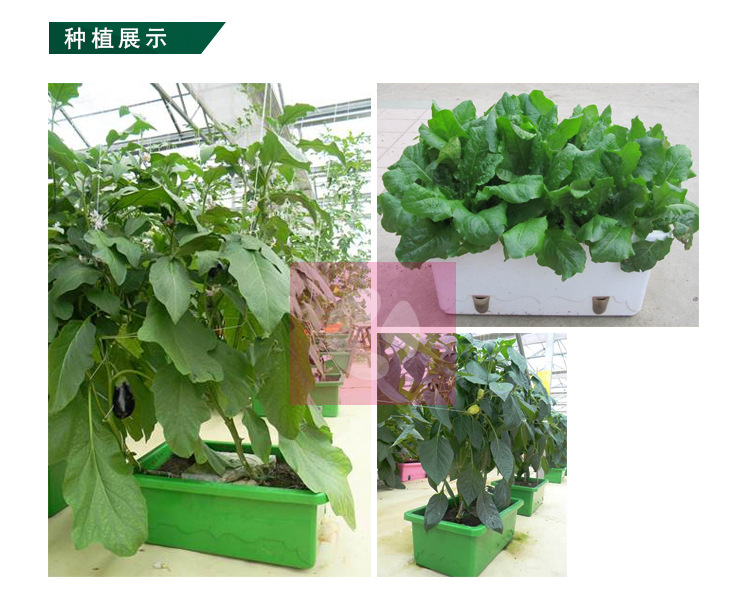 自动恒湿盆 结实耐用又环保，开启科学种植新纪元